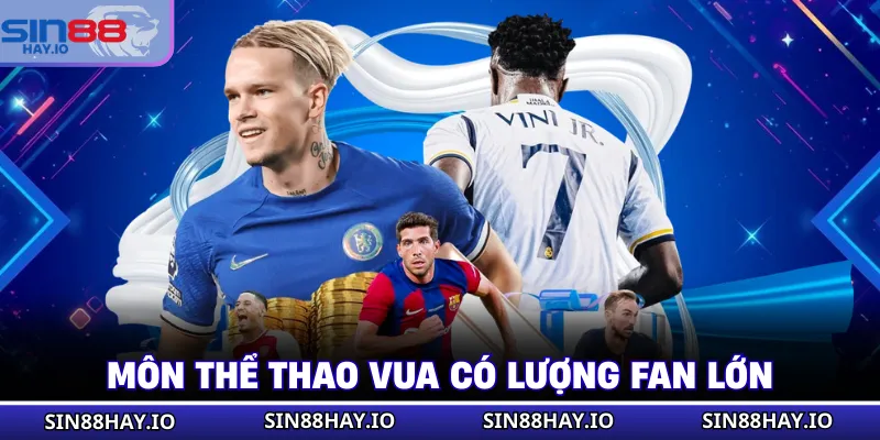 Thể Thao Trực Tuyến - Cá Cược Hiện Đại Với Đa Dạng Kèo Môn thể thao vua có lượng fan lớn